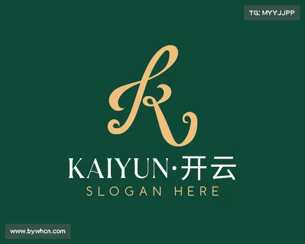 了解kaiyun·开云